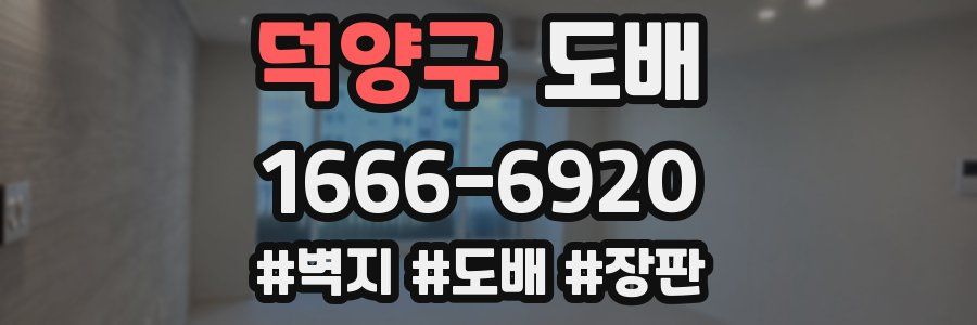 덕양구 도배