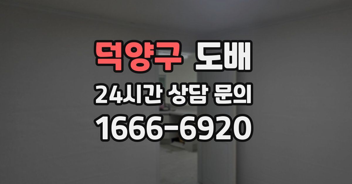 덕양구 도배
