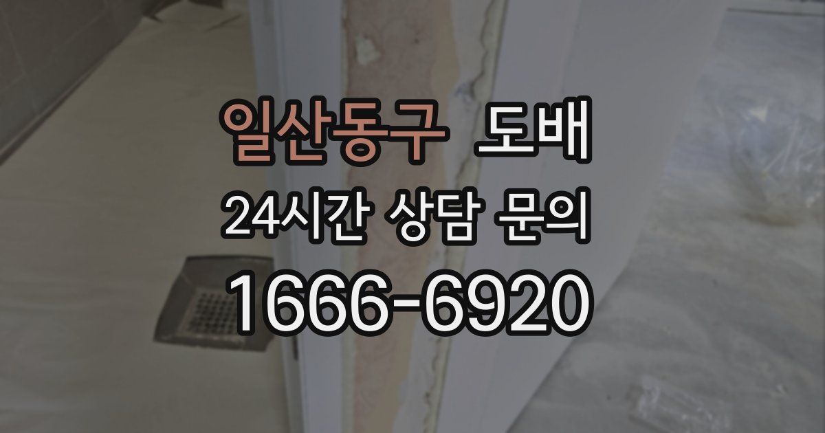 일산동구 도배