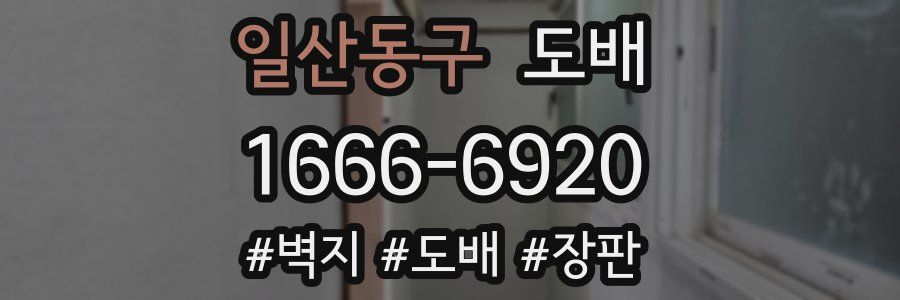 일산동구 도배