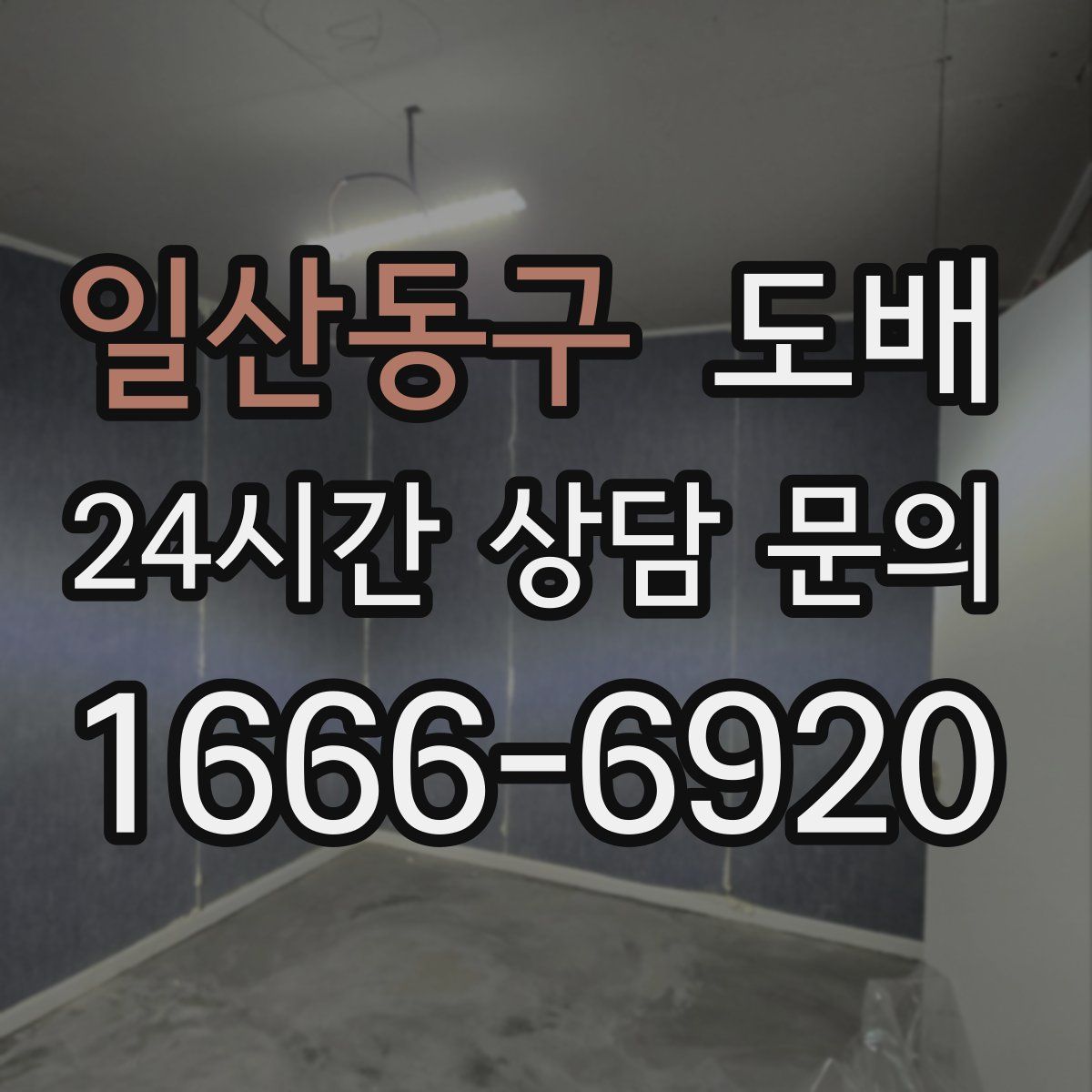 일산동구 도배