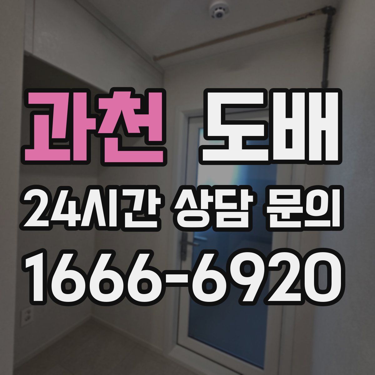 과천 도배