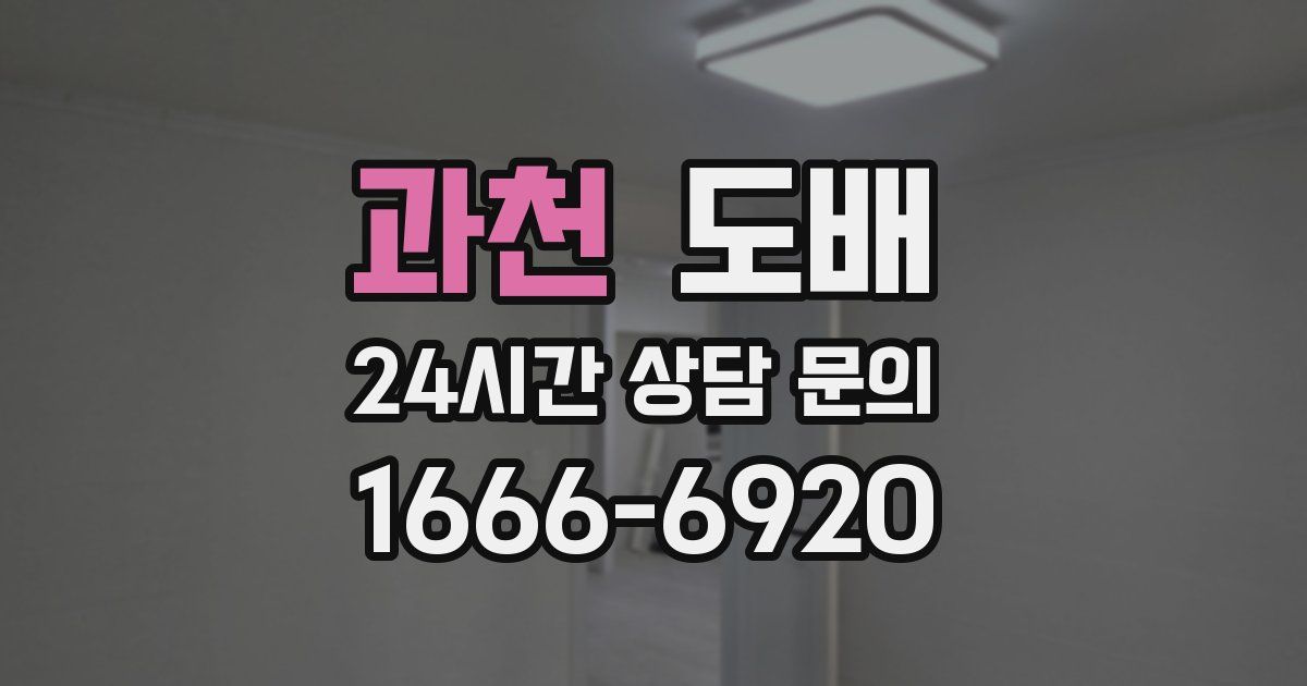 과천 도배