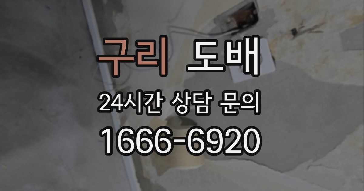 구리 도배