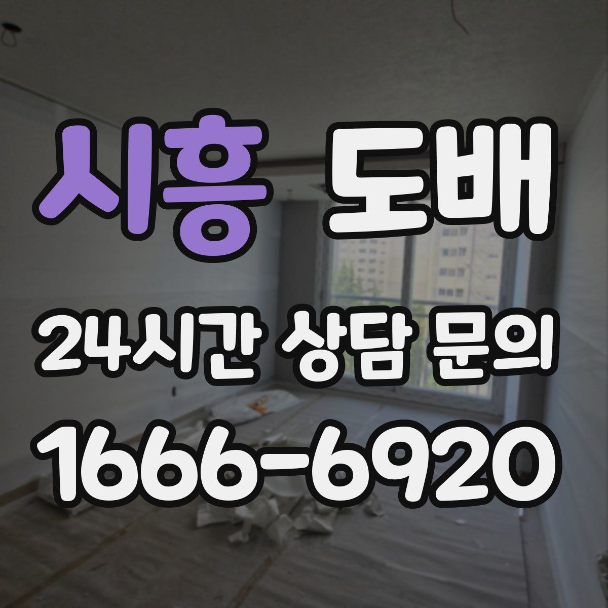 시흥 도배
