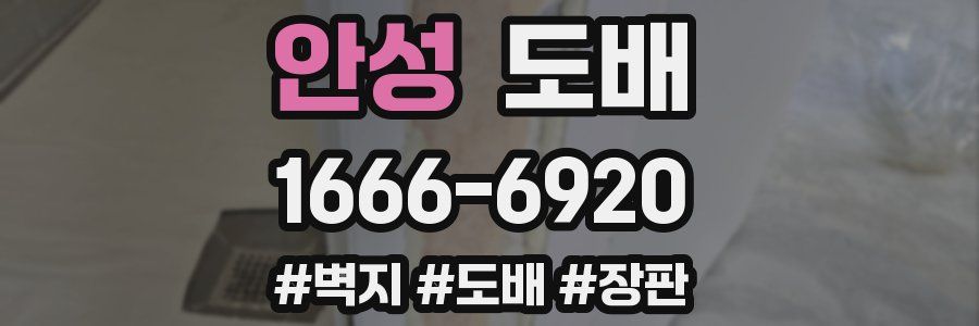 안성 도배