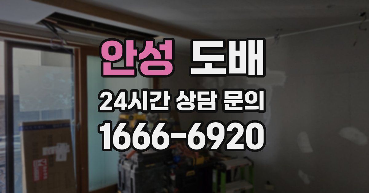 안성 도배