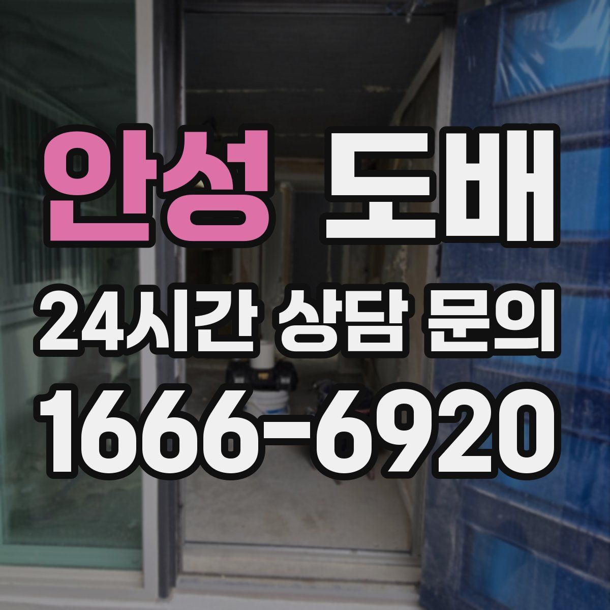 안성 도배