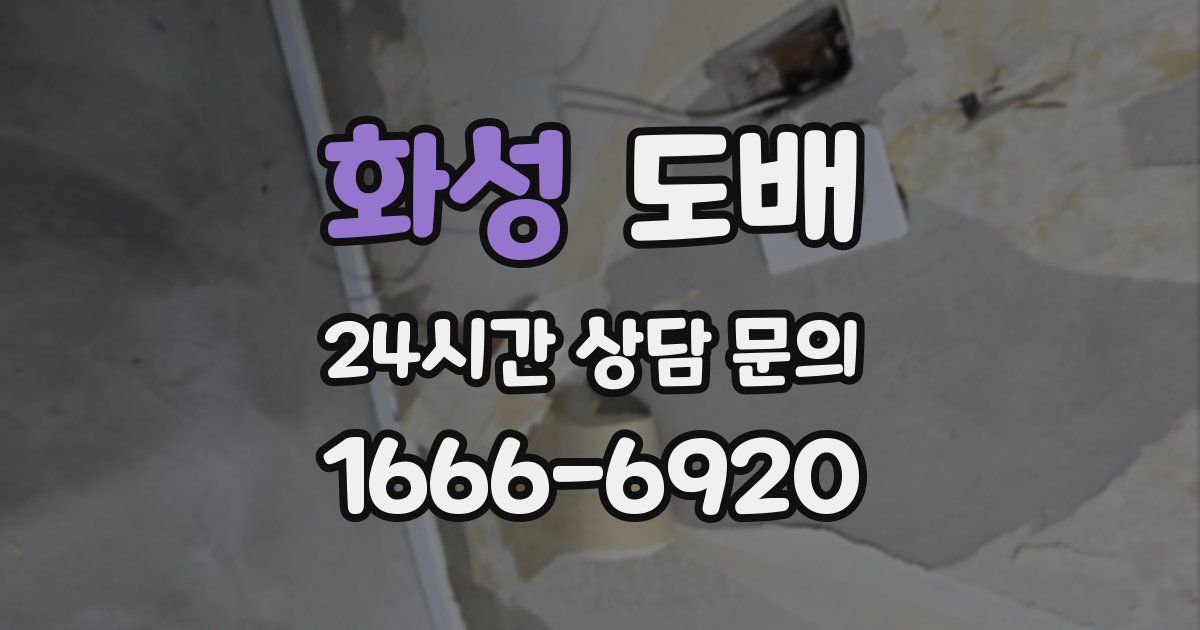 화성 도배