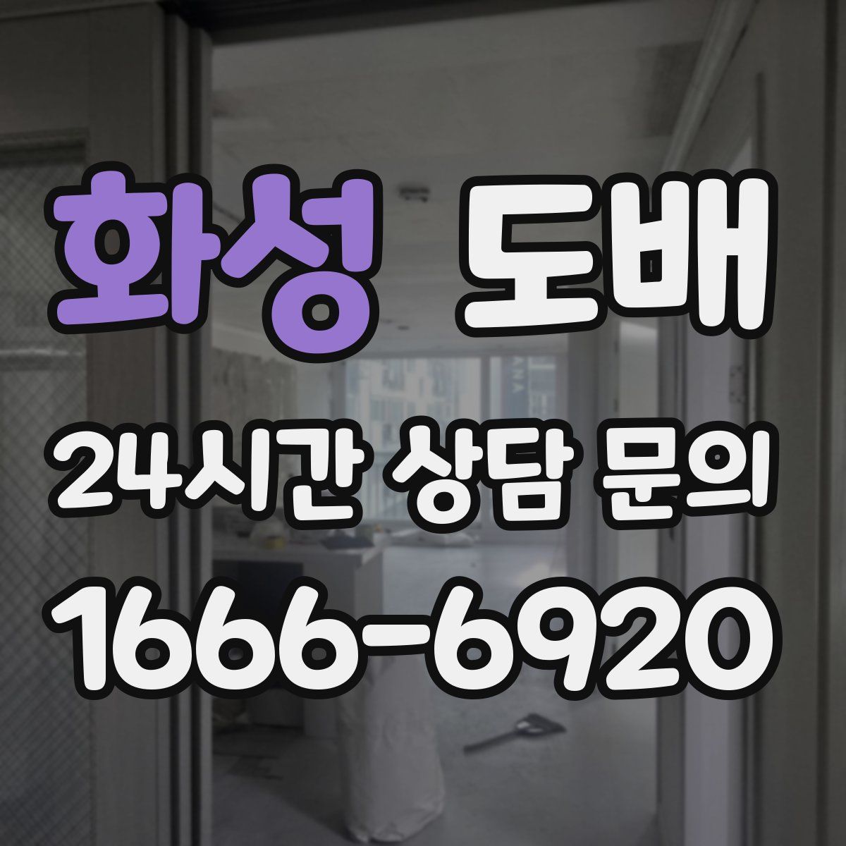 화성 도배