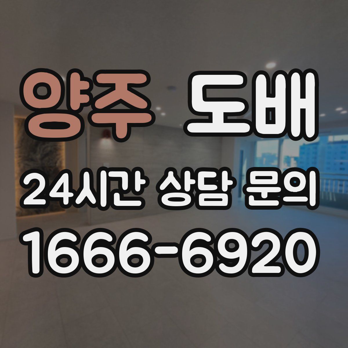 양주 도배