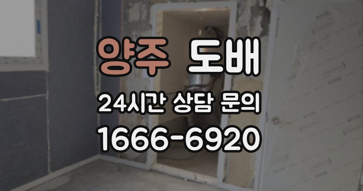 양주 도배