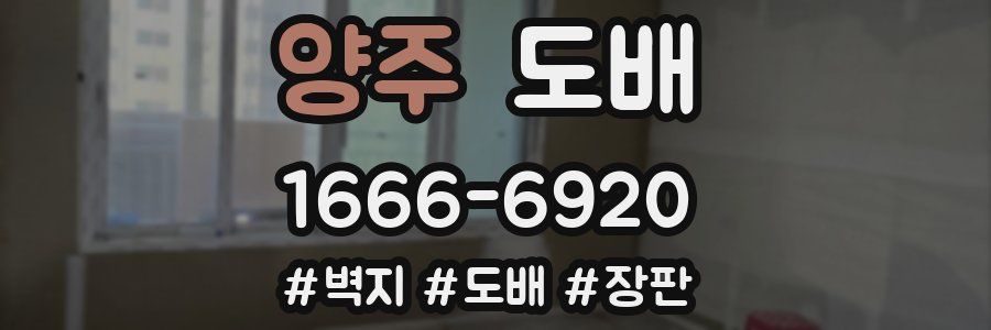 양주 도배