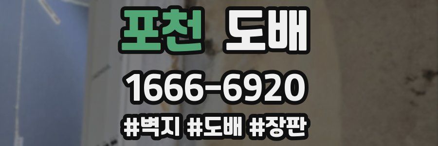 포천 도배