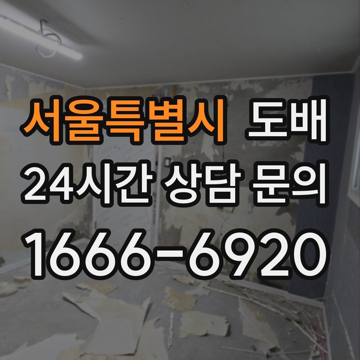 서울특별시 도배