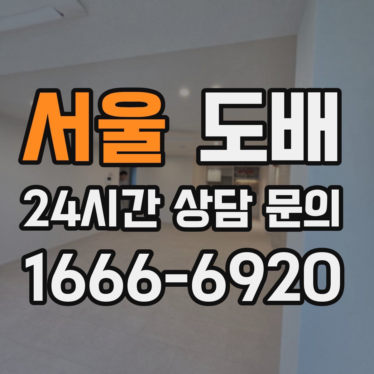 서울 도배