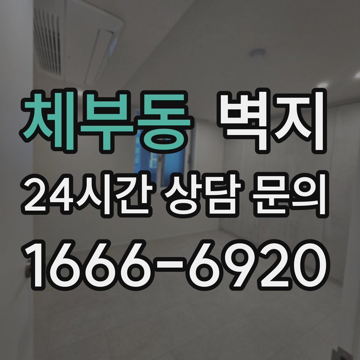 체부동 벽지
