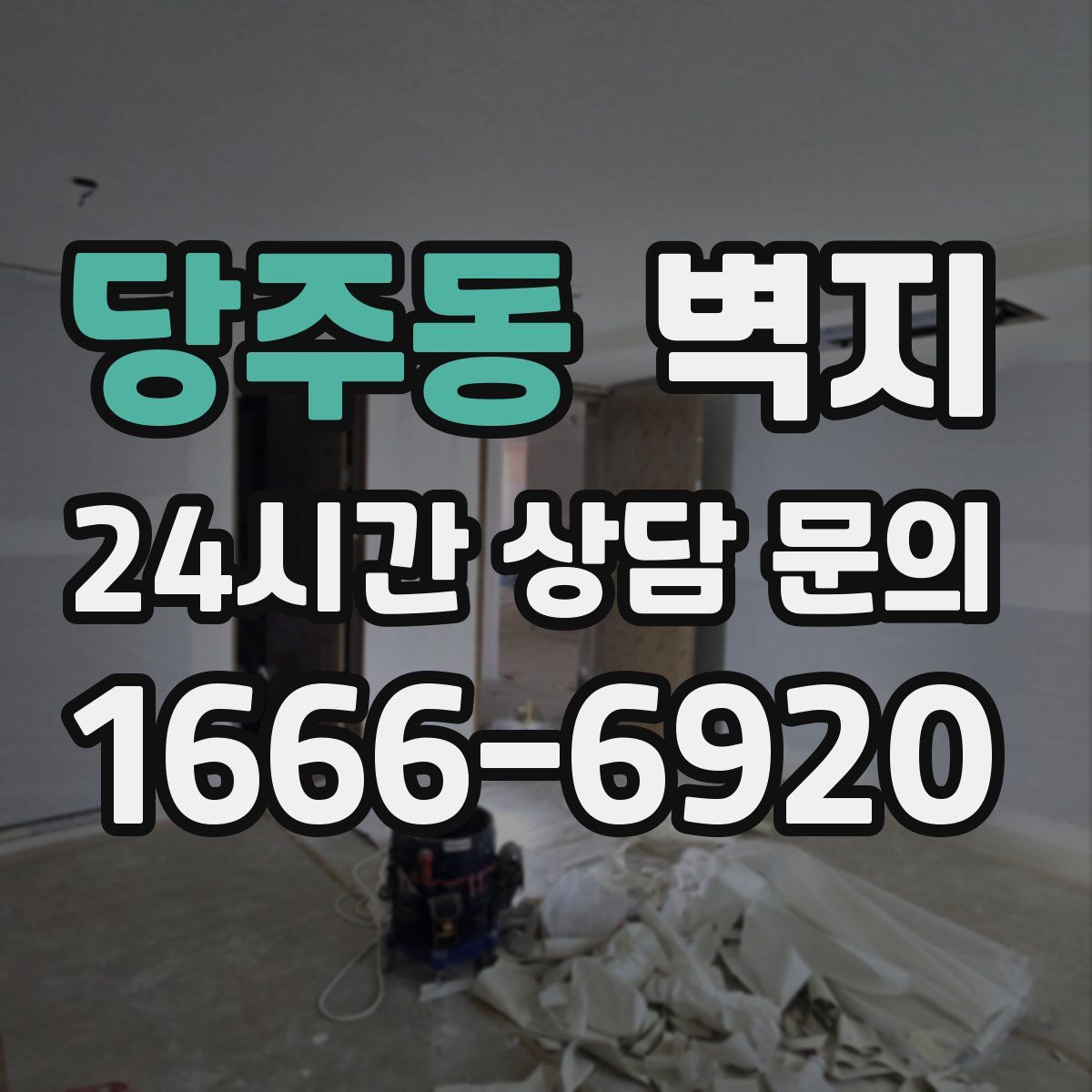 당주동 벽지