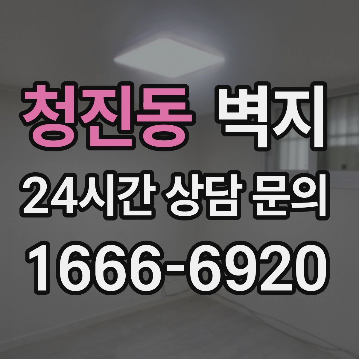 청진동 벽지