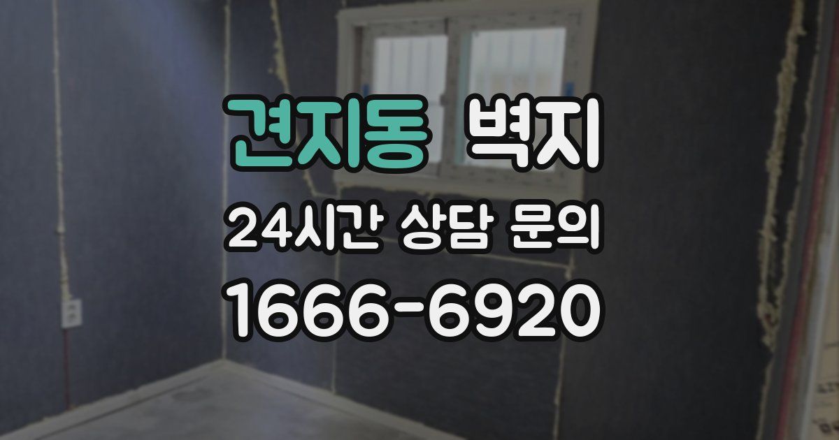견지동 벽지