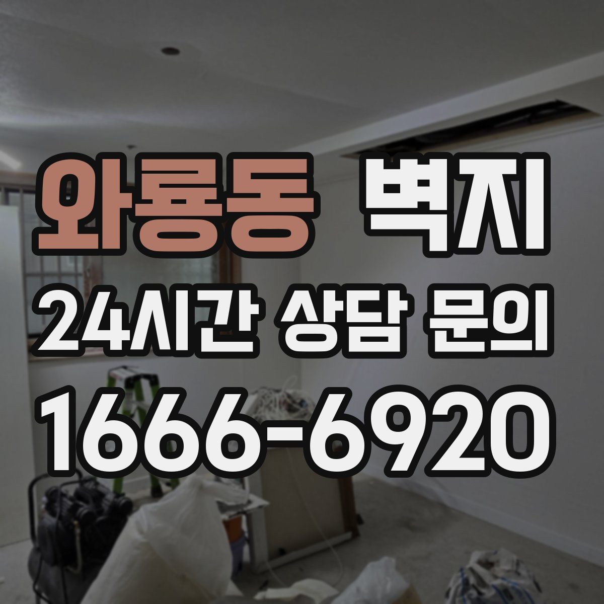 와룡동 벽지
