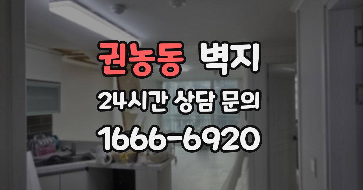 권농동 벽지