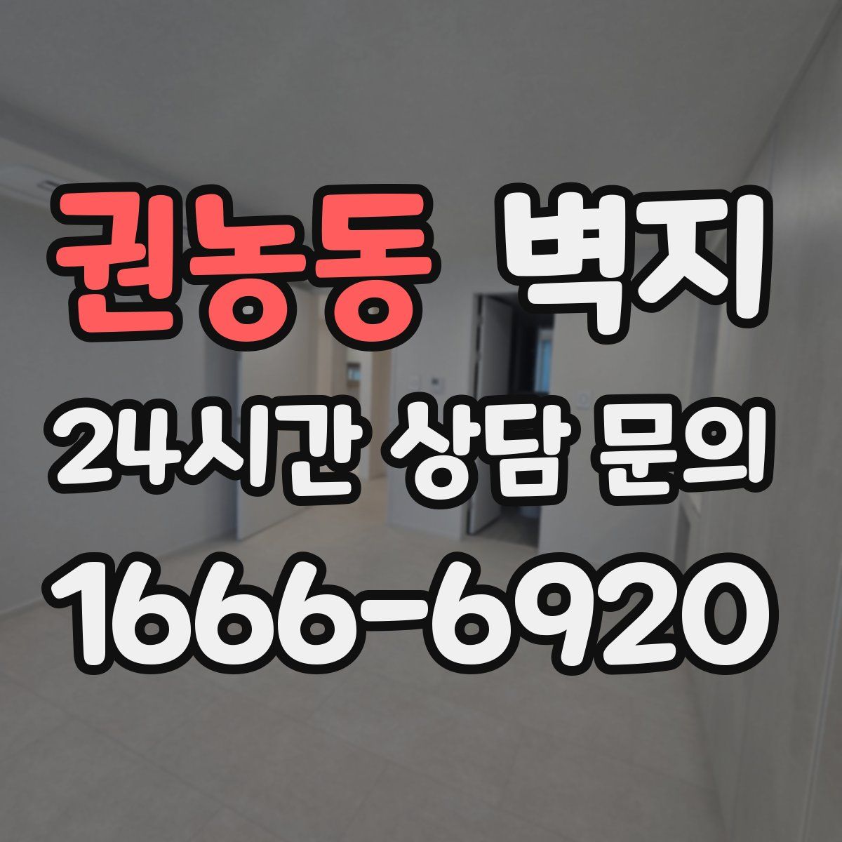권농동 벽지
