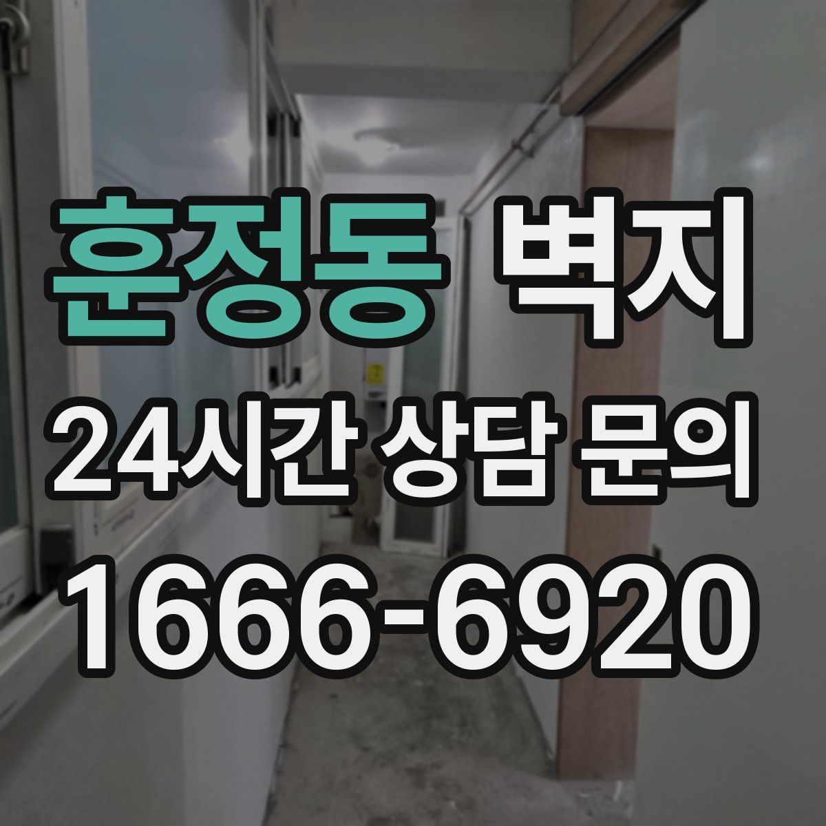 훈정동 벽지