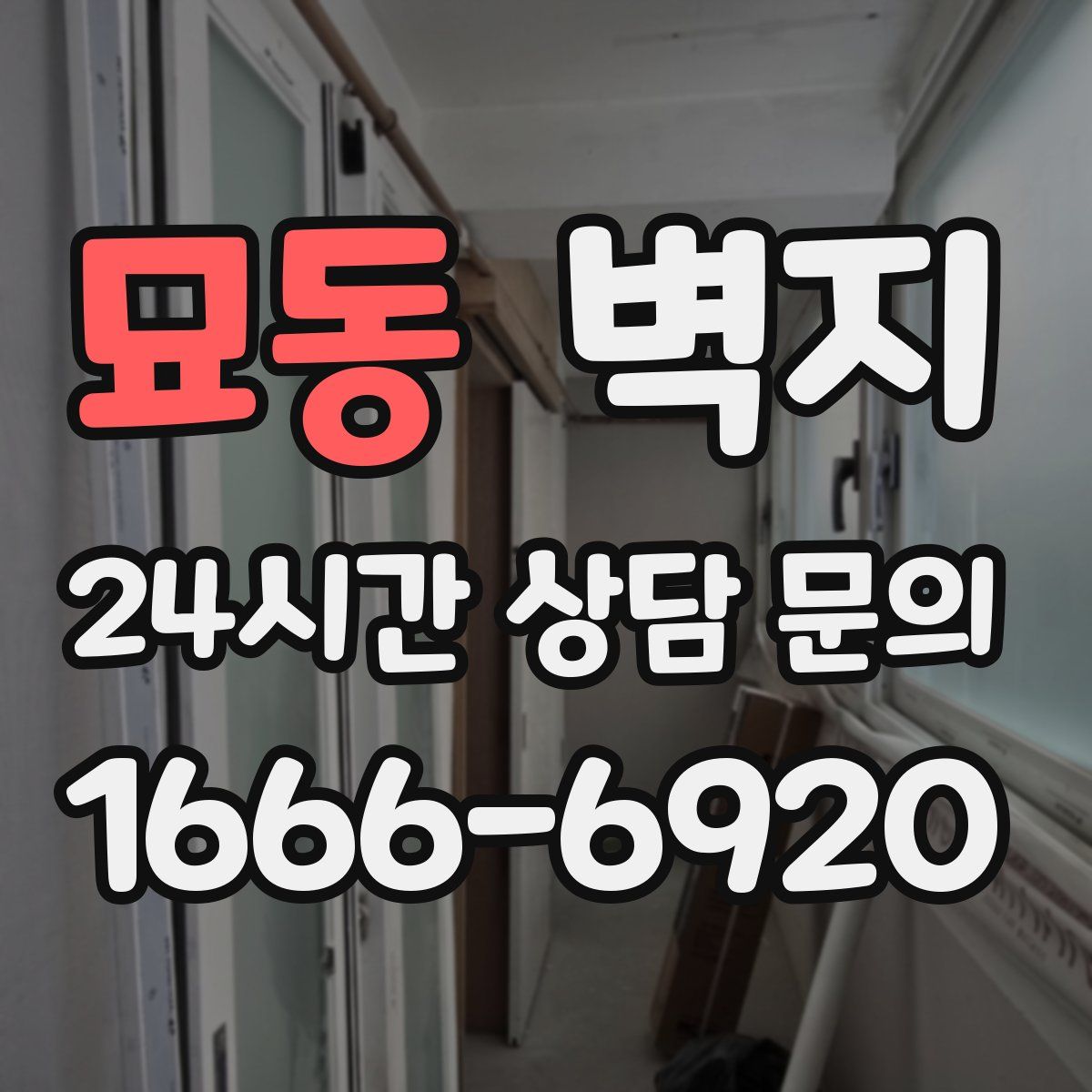 묘동 벽지