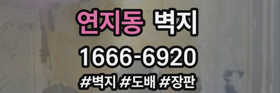연지동 벽지
