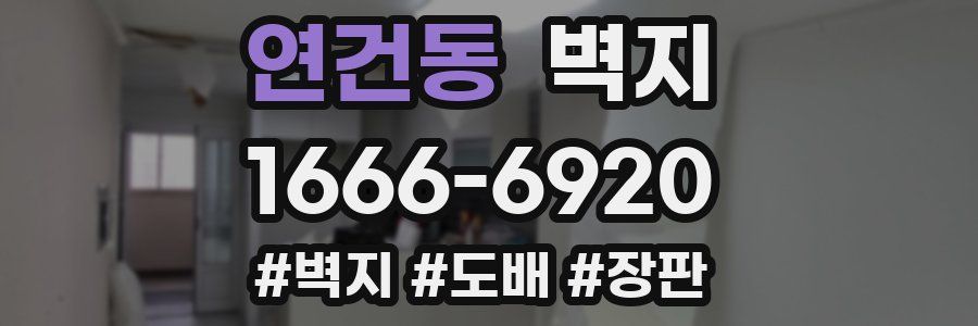 연건동 벽지
