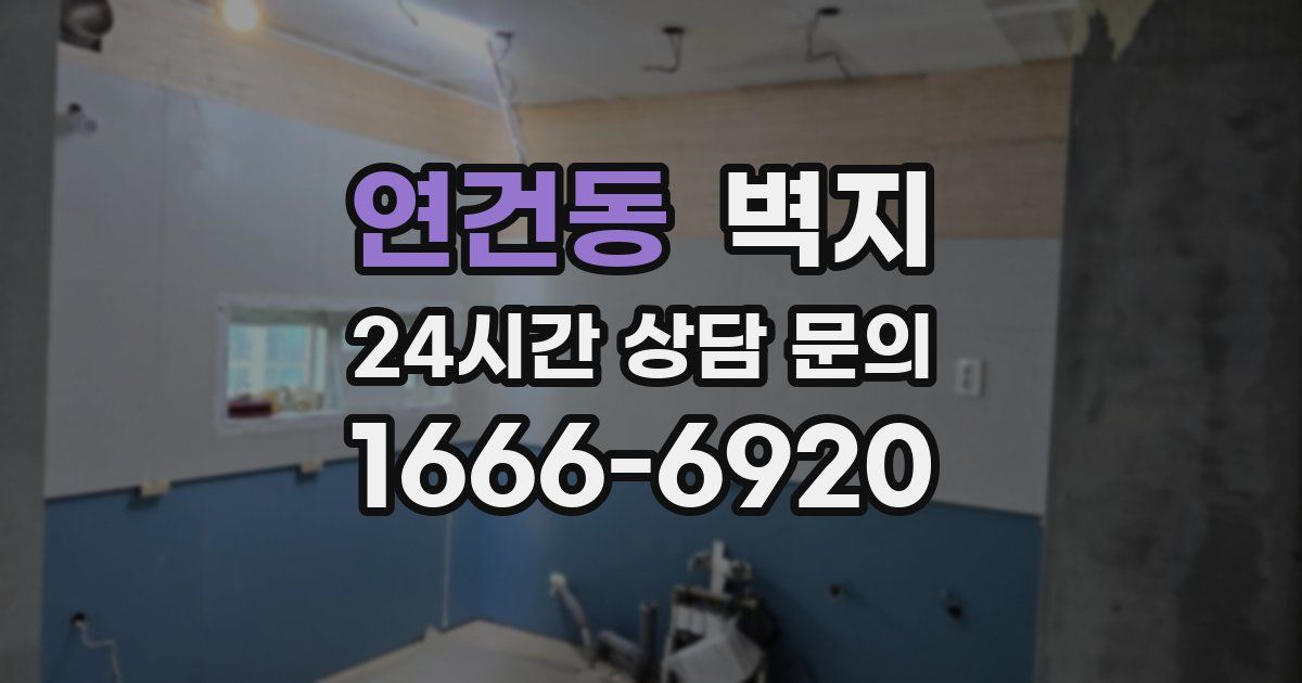 연건동 벽지