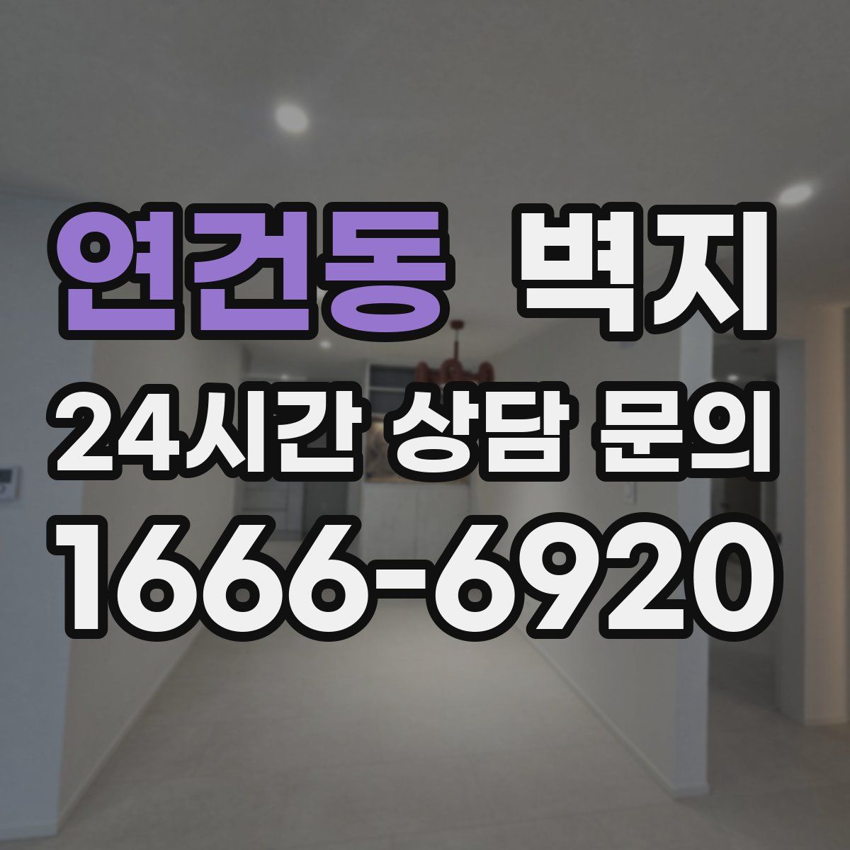 연건동 벽지