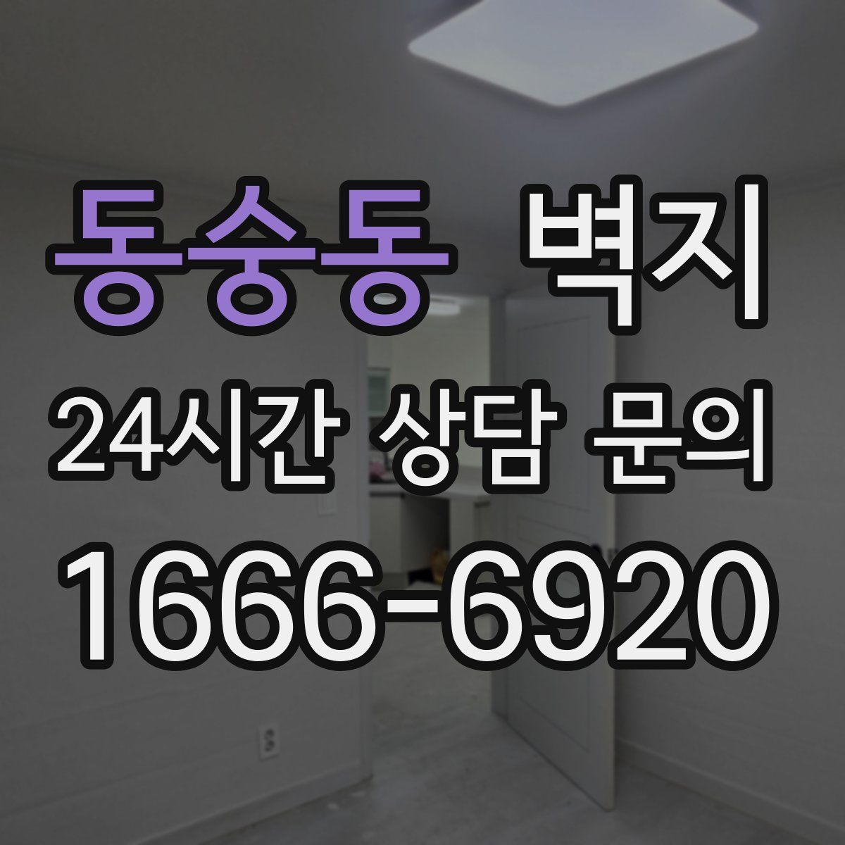 동숭동 벽지