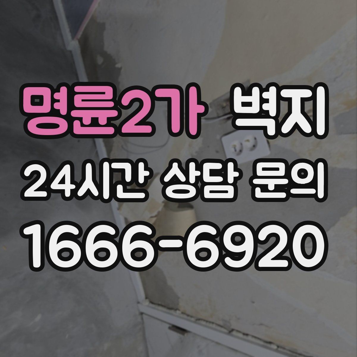 명륜2가 벽지 유지 관리가 쉬운 재질은 무엇일까