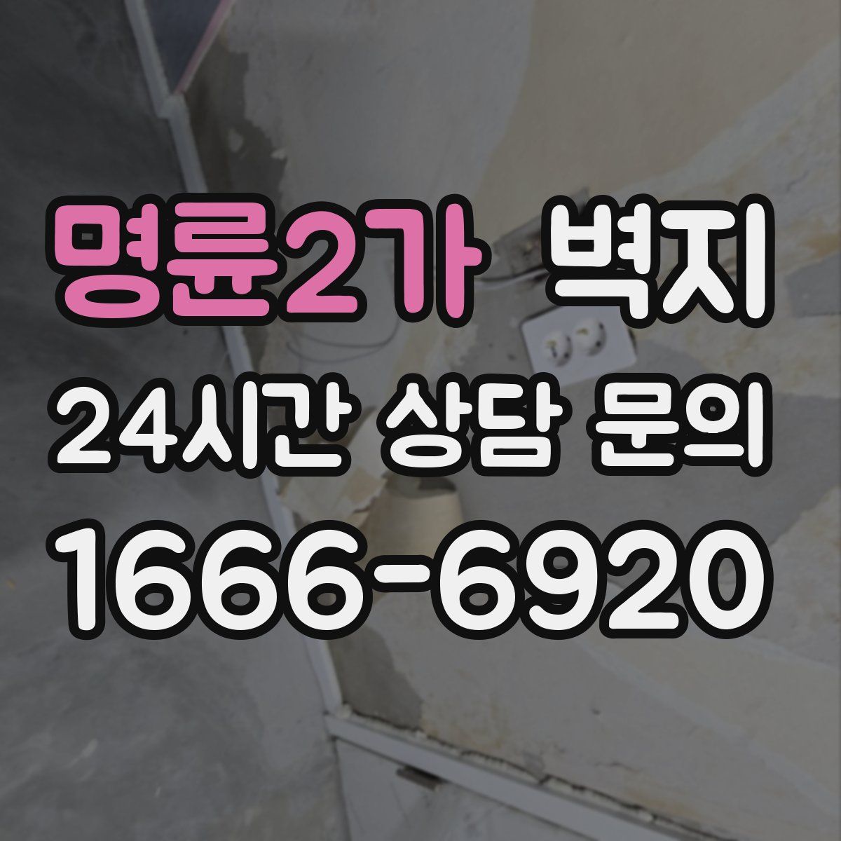 명륜2가 벽지