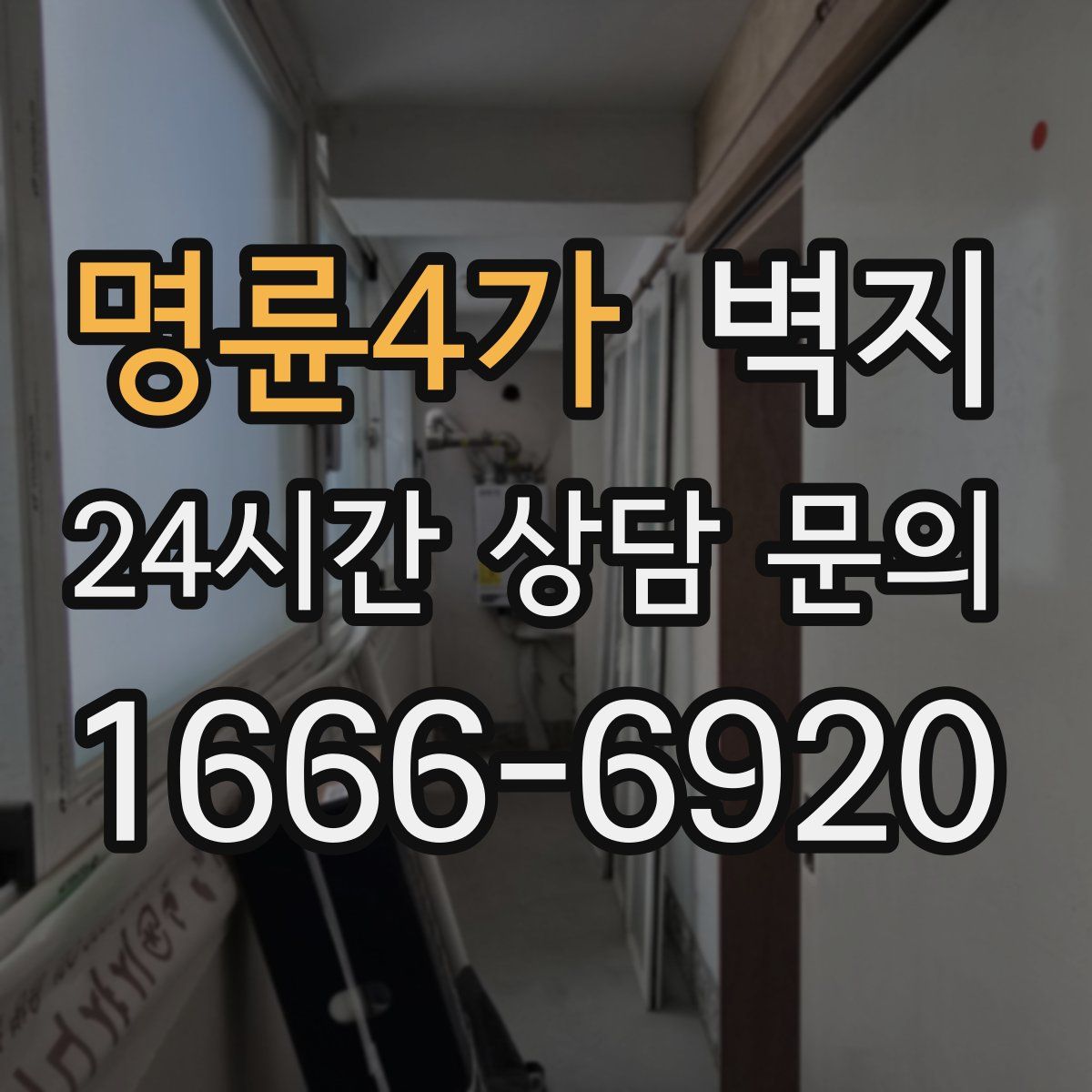 명륜4가 벽지