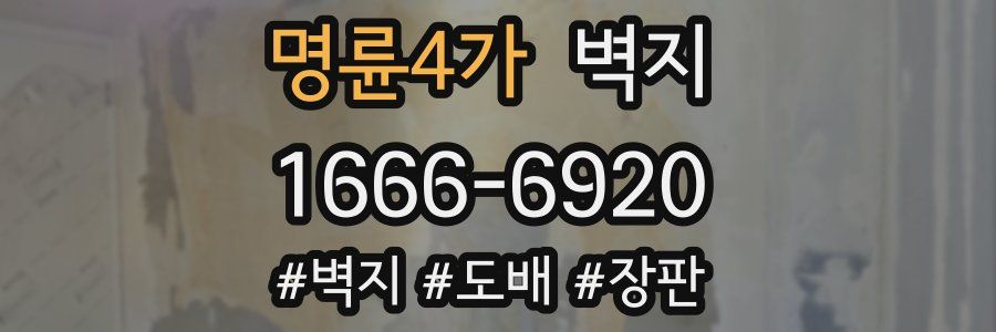 명륜4가 벽지