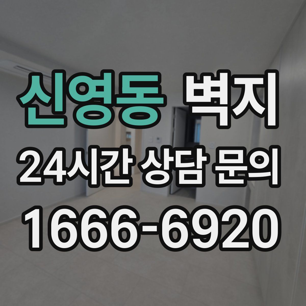 신영동 벽지
