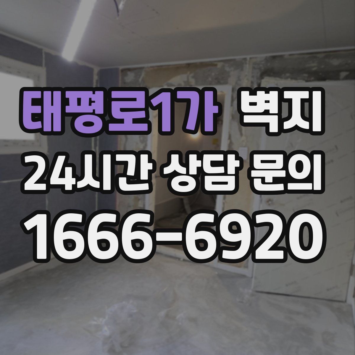 태평로1가 벽지