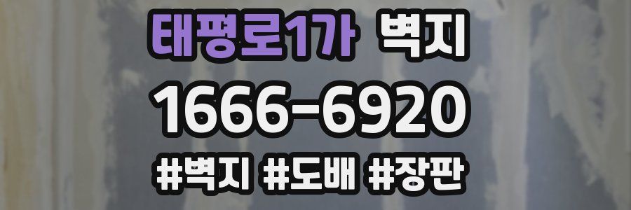 태평로1가 벽지