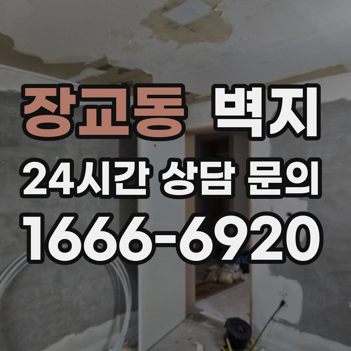 장교동 벽지