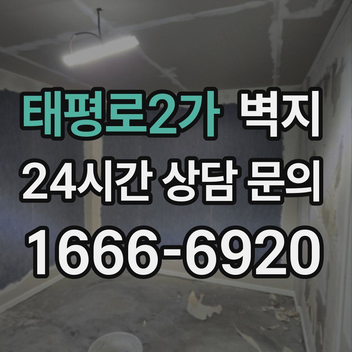 태평로2가 벽지