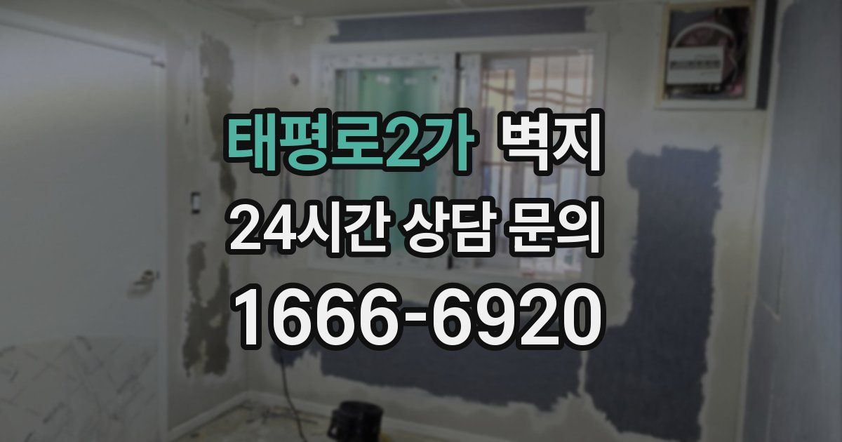 태평로2가 벽지