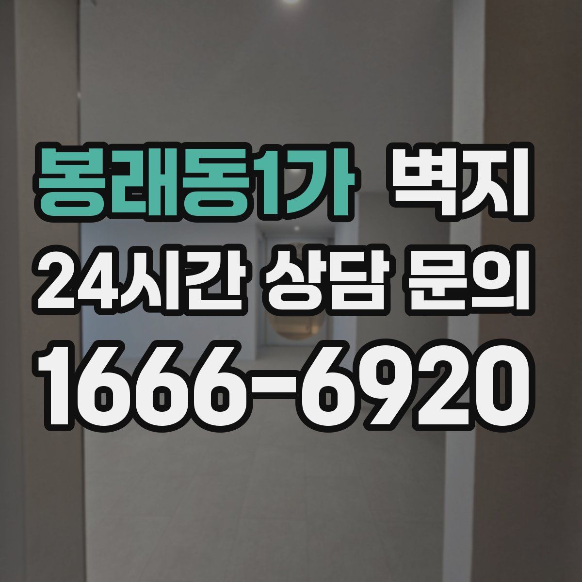 봉래동1가 벽지