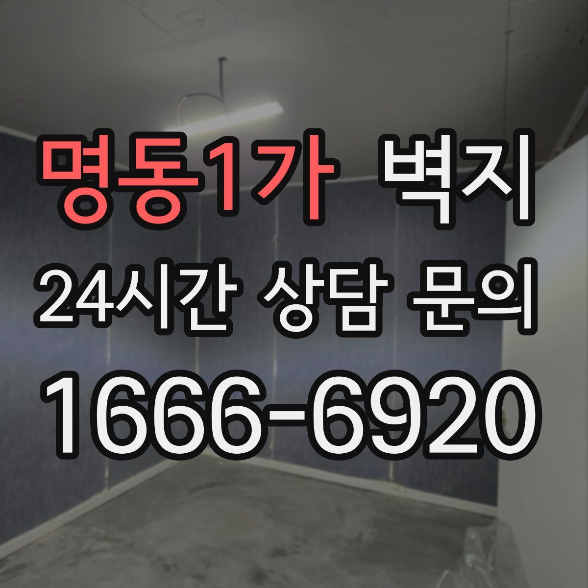 명동1가 벽지