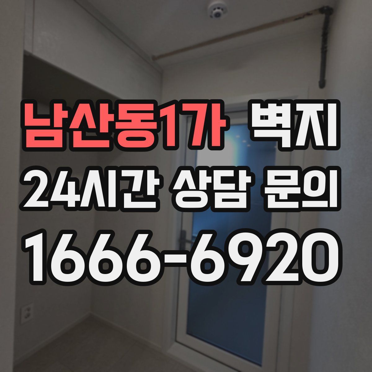 남산동1가 벽지