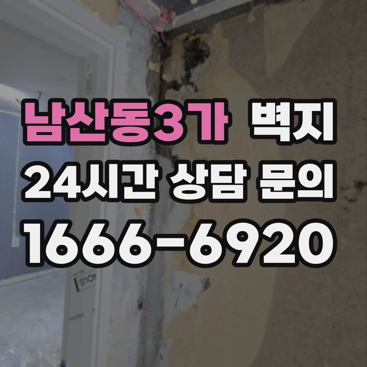 남산동3가 벽지