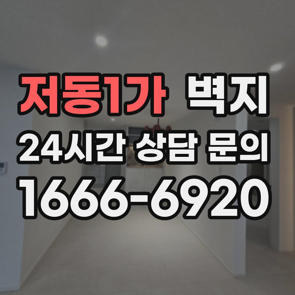 저동1가 벽지