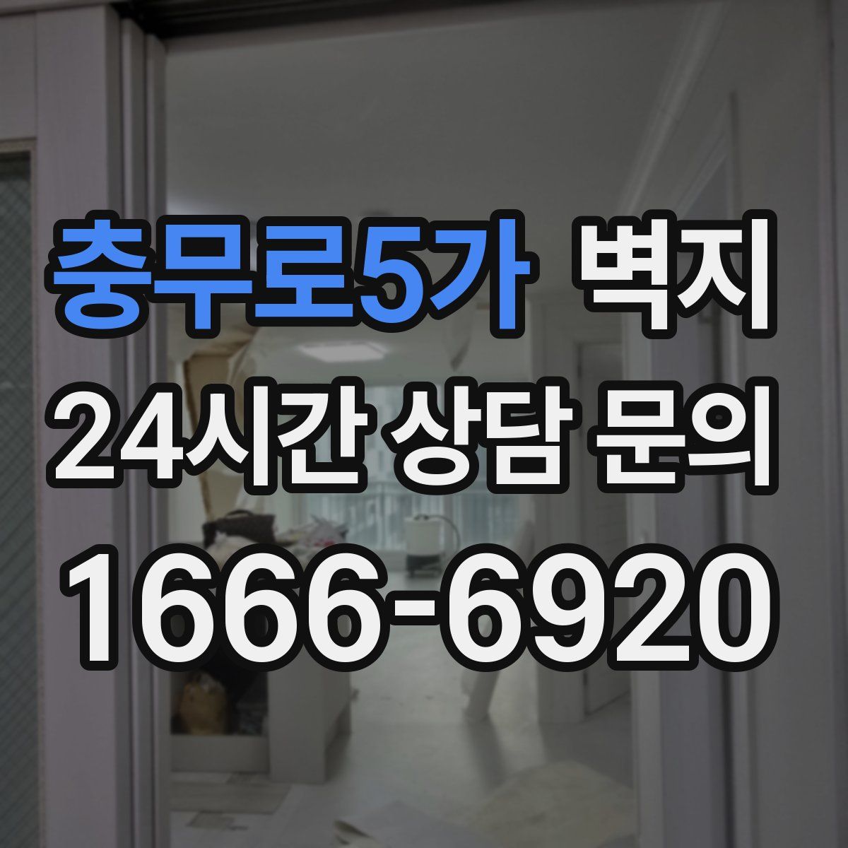 충무로5가 벽지